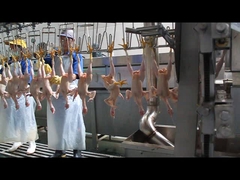 모양이 달린 픽커