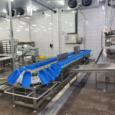 500 - 12000BPH 살육소 생산용 닭고기 무게 분류 기계