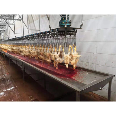 4000KG 자동 도살 기계 닭고기 조류 도살 라인 SS 304