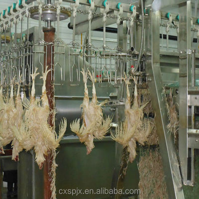 380V/220V 전압 닭고기 가공 기계 닭고기 풀링 및 할랄 도살