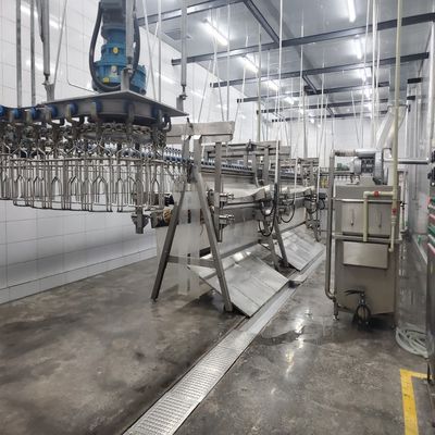 220V / 380V 500KG 닭고기 도살용 할랄 조류 도살 장비