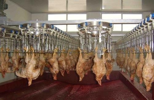 스테인리스 스틸 재료로 사용자 정의되고 내구성있는 가축 가공 라인 스테인리스 스틸 304