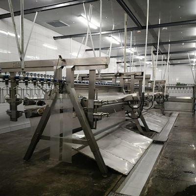 하랄 자동 도살 기계 가축 공장을 위한 사전 냉각 기계 100KG