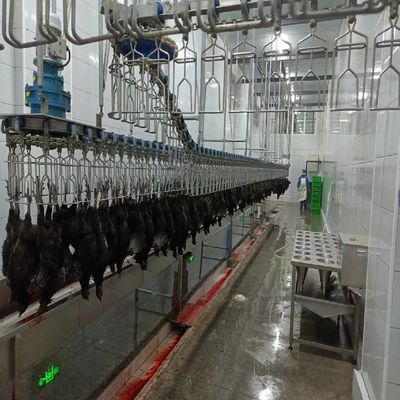 자동 하랄 가축 도살 기계 500 bph 닭 껍질 깎기 기계