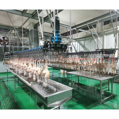1000-2000BPH 자동 가금류 도살소 닭고기 도살 기계
