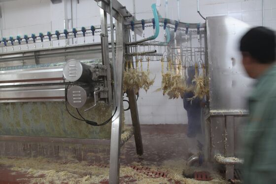 닭고기 쪼개기 기계 소류 가축 사육소 가축)) 포로스) 고기 가공 닭고기 가공 장비