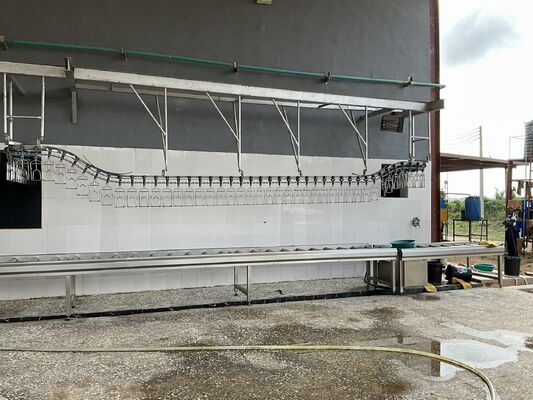 하랄 인증 고효율 1시간 1000 마리의 조류를 처리하는 손바닥에 놓인 조류 처리 라인